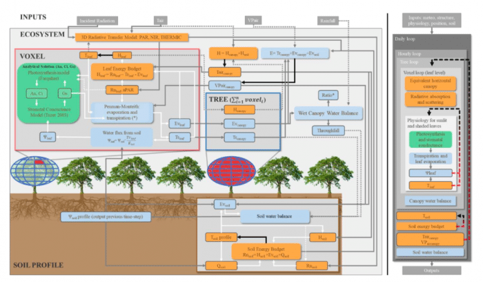 Modeling Energy Balance In Complex Agroforestry Systems ...